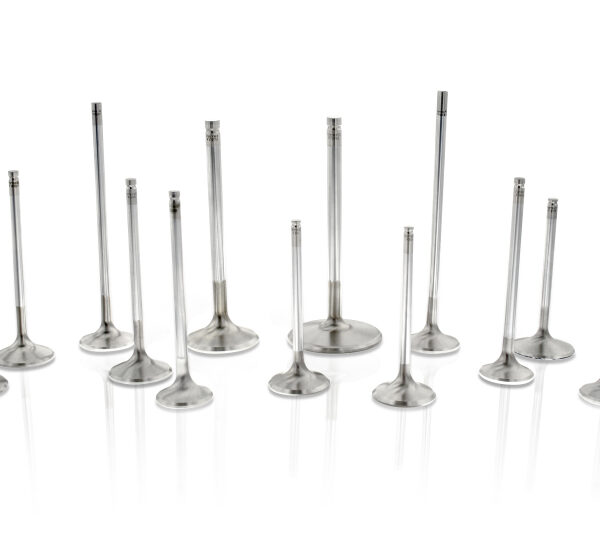 Ferrea Ford GT 500 5.4L 200lbs Rate Single Beehive Ovate PAC Alloy Exhaust Valve Spring - Set of 16