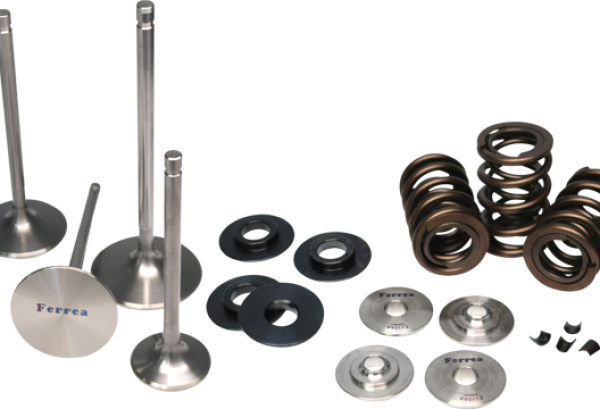 Ferrea Acura/Honda B18/B16 Endurance Dual Spring Kit