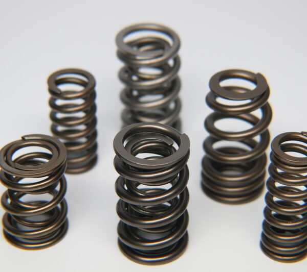 Ferrea GM LS1 Pro PAC Alloy Dual Valve Spring - Set of 16