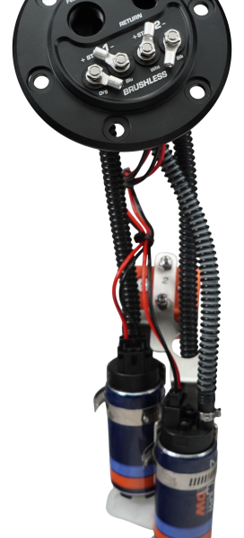 Deatschwerks X2 Pump Hanger w/ Dual DW420 for 92-00 Honda Civic