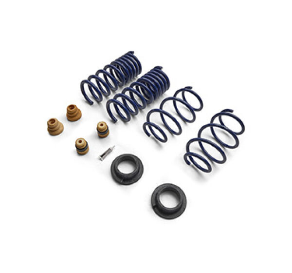 Ford Racing 15-24 Mustang Street Lowering Spring Kit