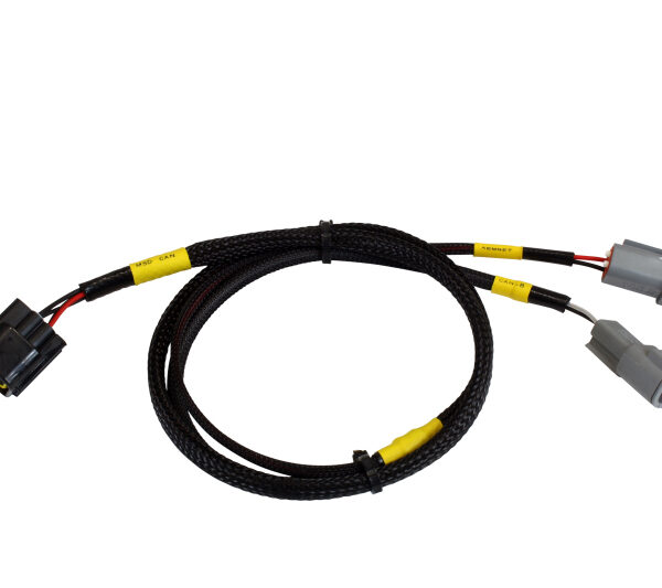 AEM CD-7/CD-7L Plug and Play Adapter Harness for MSD Grid