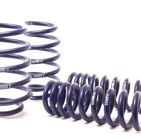 H&R 06-10 Dodge Charger RT/SE/SXT V6/V8 (2WD) Sport Spring (w/Nivomat Only)