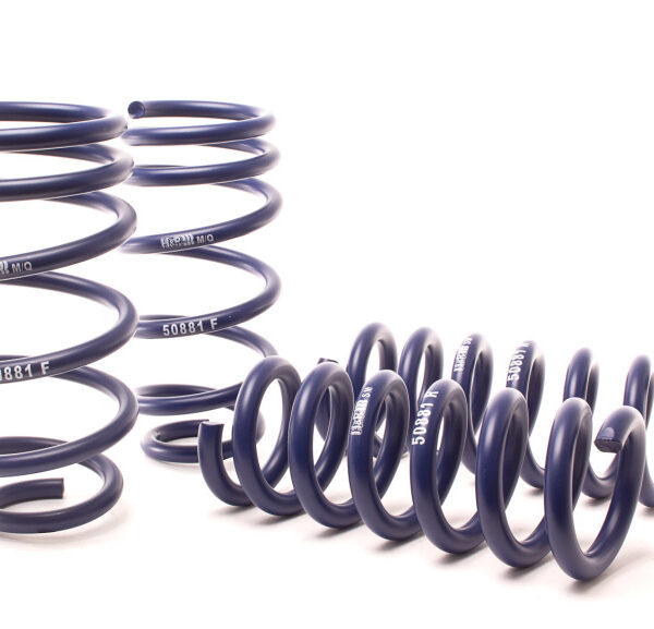 H&R 11-14 Dodge Charger RT (AWD) Max/Plus V8 Sport Spring