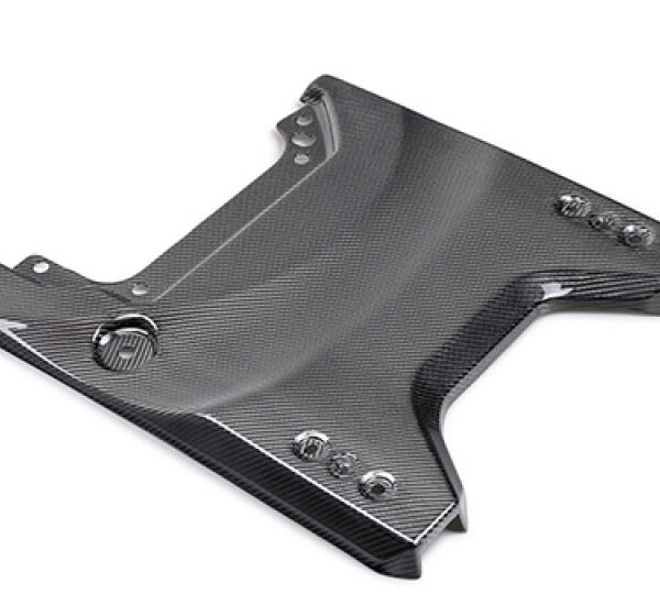 Ford Racing 22-24 Bronco Raptor Carbon Fiver Tailgate Applique - Gloss