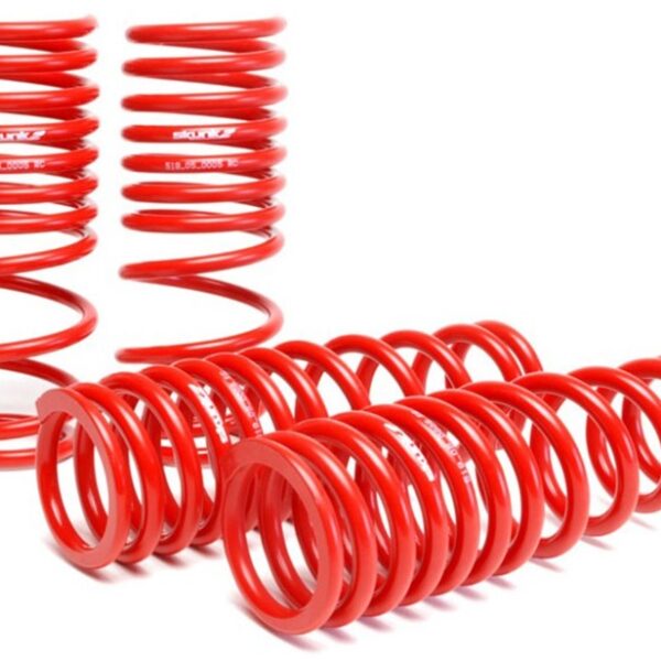 Skunk2 96-00 Honda Civic Lowering Springs (2.50in - 2.25in.) (Set of 4)
