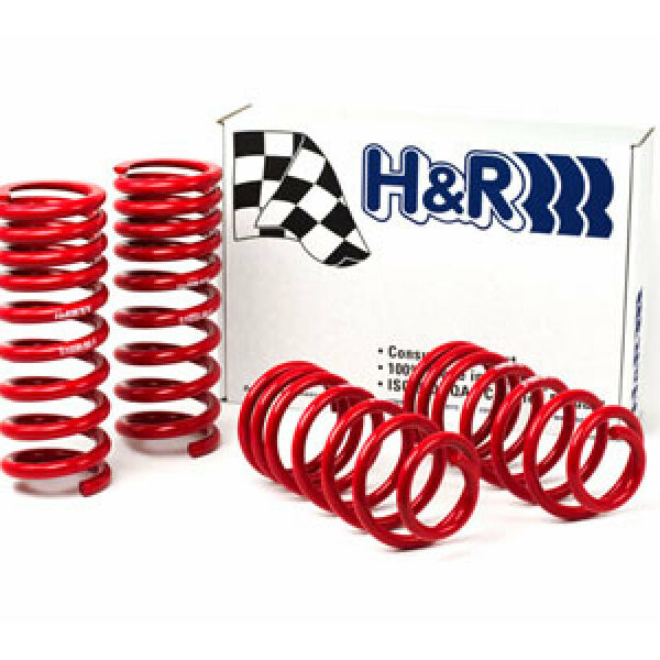 H&R 94-95 Ford Mustang/Mustang Cobra V8 Race Spring