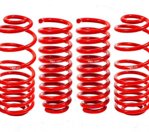 BMR 02-09 Trailblazer Lower Springs Set of 4 2in-3in Drop Red