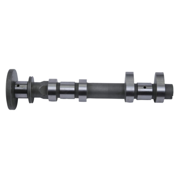 Hot Cams 18-21 RZR RS1 1000cc/15-21 RZR XP 1000 Intake Camshaft - Stage 2