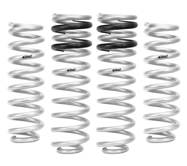 Eibach 09-10 Dodge Ram 1500 Pro-Lift-Kit Springs (Front & Rear Springs)