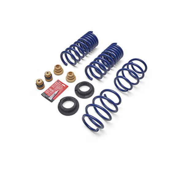 Ford Racing 2024 Mustang 2.3L Track Lowering Spring Kit