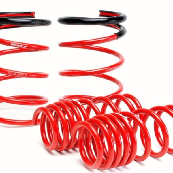 Skunk2 05-06 Acura RSX Lowering Springs (2.25in - 2.00in.) (Set of 4)