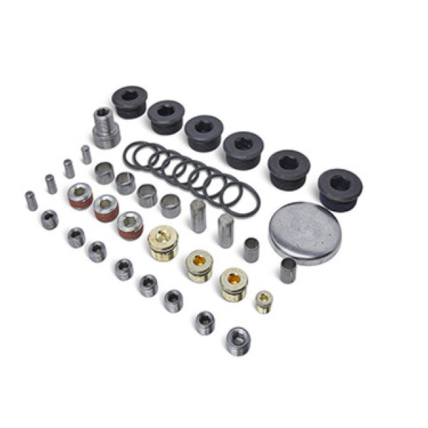 Ford Racing Block Plug and Dowel Kit (For Z Blocks)