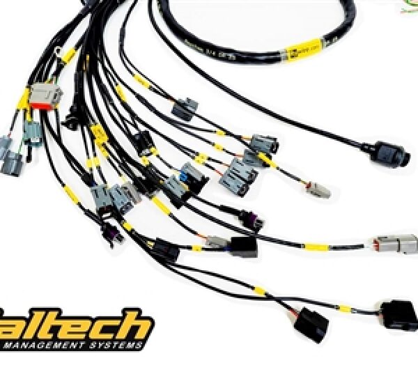 Rywire Honda K-Series (w/Haltech Elite 1500+) Eng Harn w/OBD2 Alt/EV14 Inj/AEM IAT/MAP (Adapter Req)