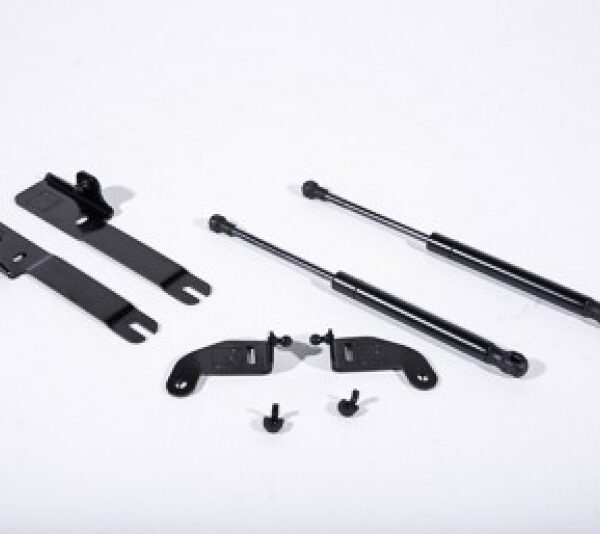 Roush 2015-2023 Ford Mustang Hood Strut (w/o Active Hood Saftey)
