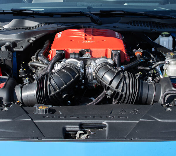 Roush 2024 Ford Mustang GT / Dark Horse 5.0L Air Intake System