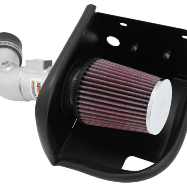 K&N 11-12 Ford Fiesta 1.6L L4 Silver Typhoon Performance Intake