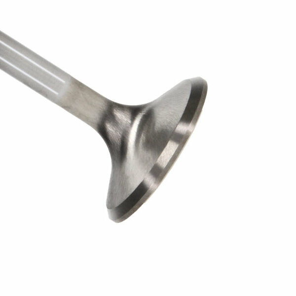 Manley Chrysler Hemi 6.1L w/ Triple Groove 1.595in Race Flo Exhaust Valves (Set of 8)
