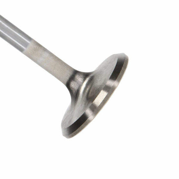 Manley Ford 4.6L 34mm Diameter 117.35mm Length Race Master Exhaust Valves (Set of 8)
