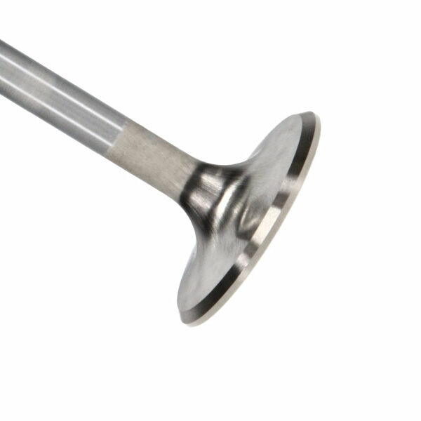 Manley Ford 4.6L/5.4L DOHC 4V 37mm Dia 5.339in Length Bead Loc Race Master Intake Valves (Set of 8)